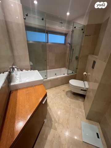 גג/ פנטהאוז, תל אביב יפו