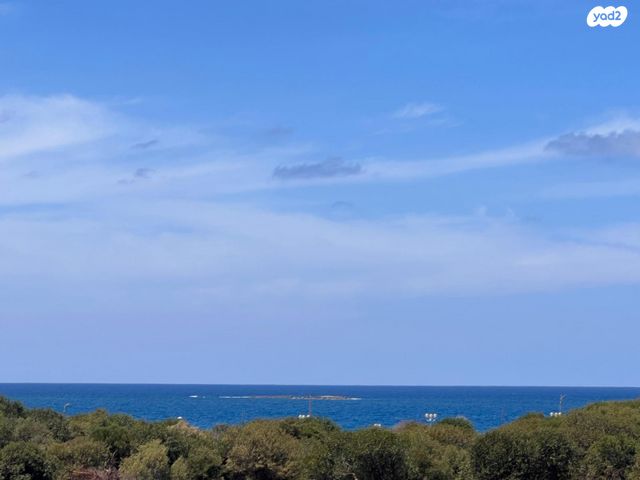 דירה, נהריה