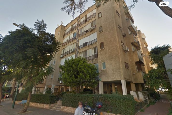 דוד וולפסון 6