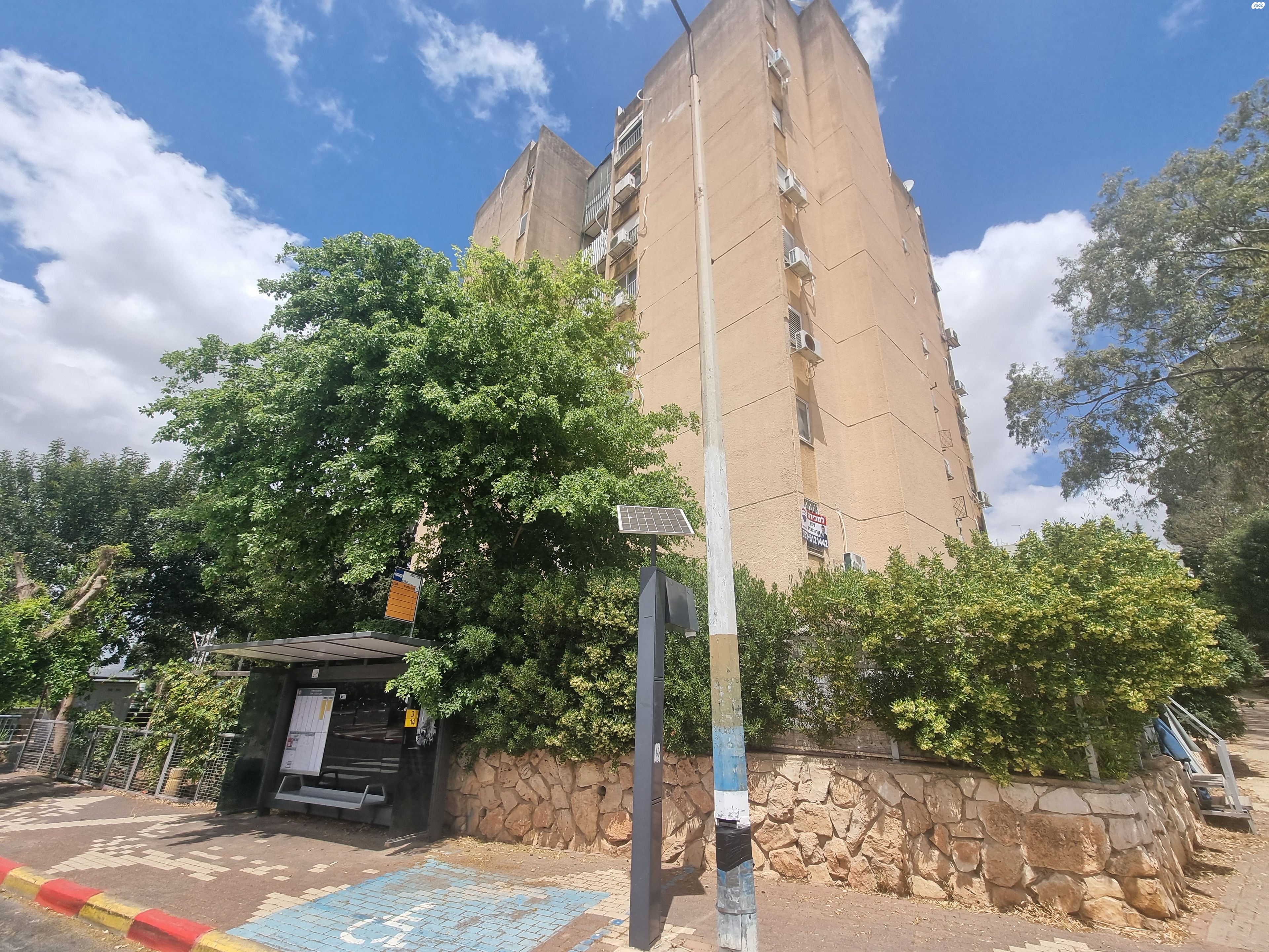 צוקית 