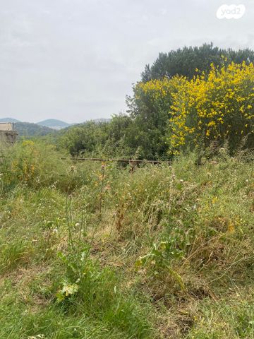 דירת גן, הדפנה, מעלות תרשיחא