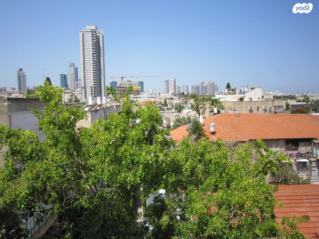 ארניה 13