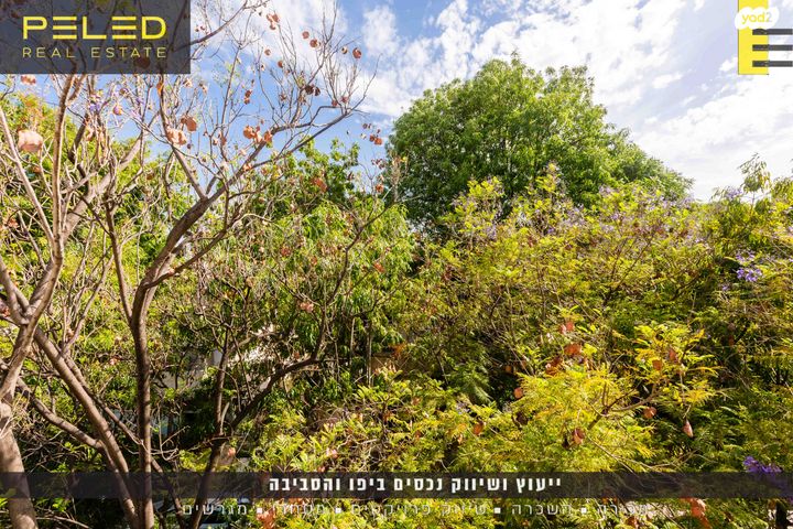 דירה, שיבת ציון, נווה שאנן, תל אביב יפו