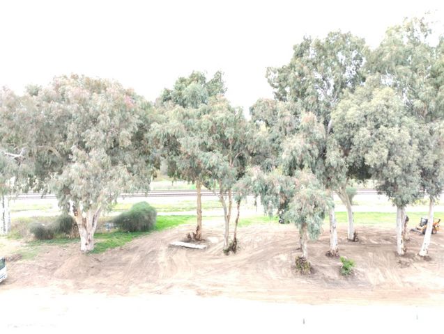 גג/ פנטהאוז, אלכסנדר זייד, קרית חיים מזרחית, חיפה