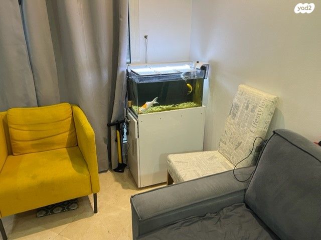 דירה, תל אביב יפו