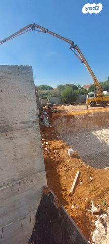 מור 41