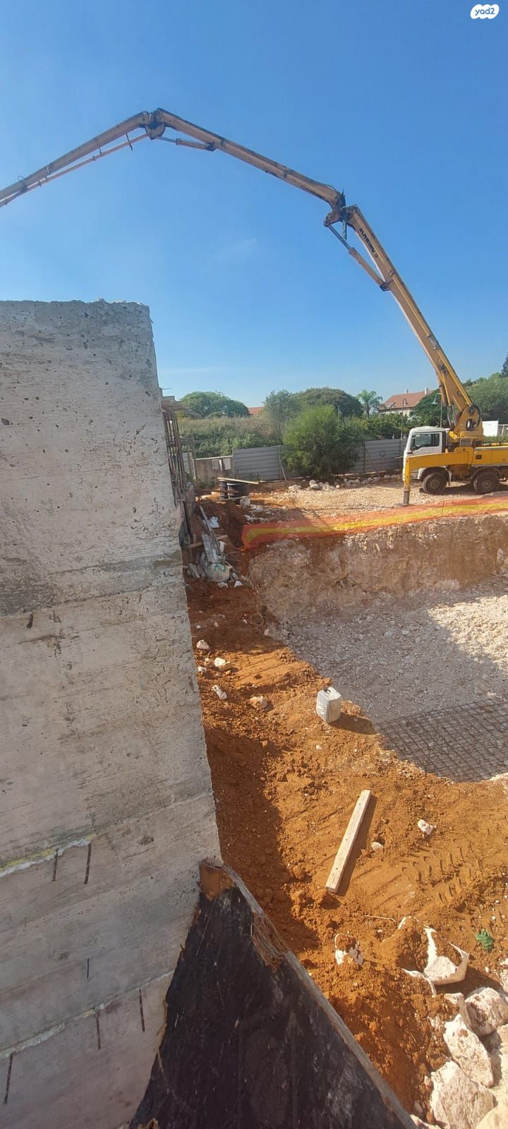מור 41