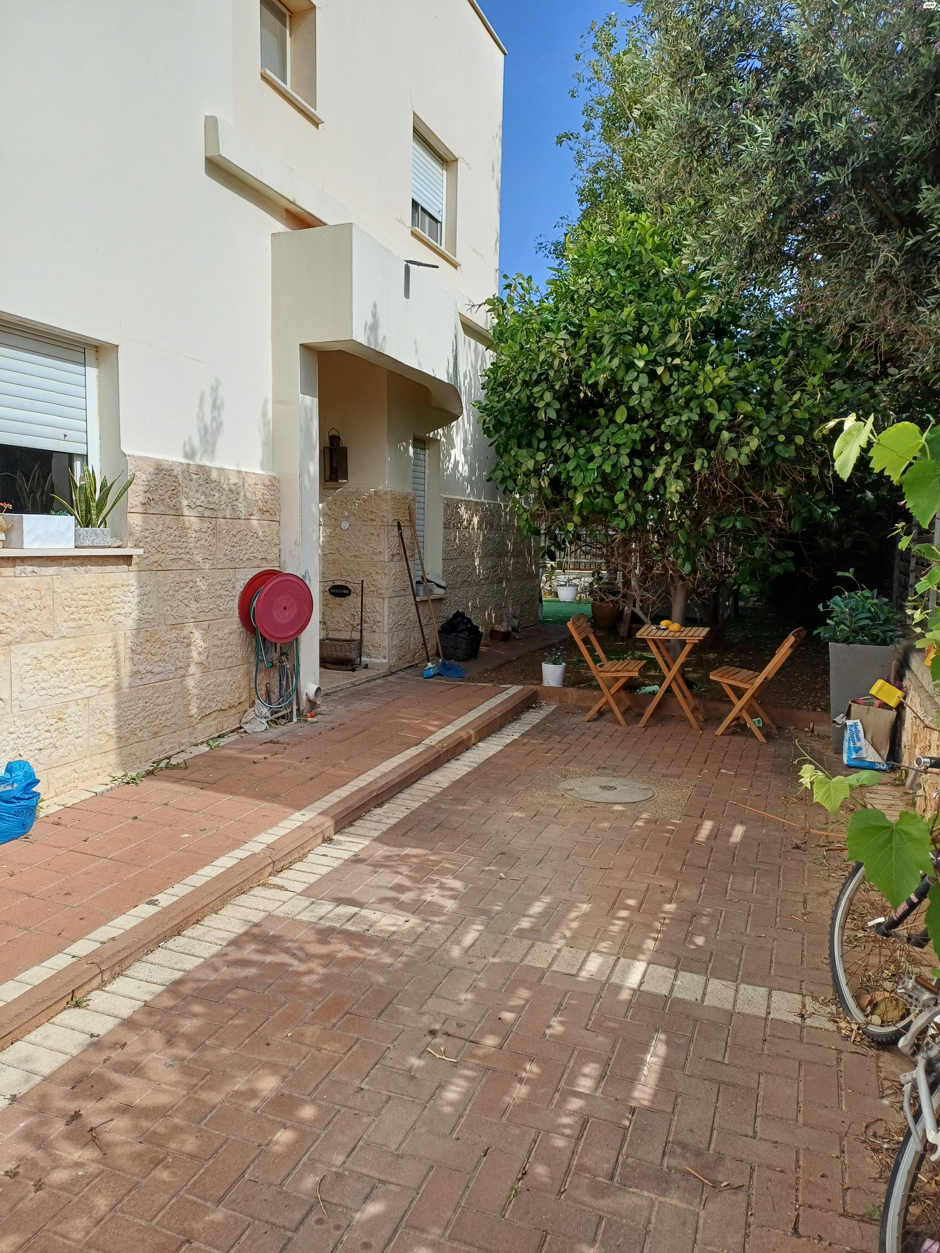 הצבעוני 30
