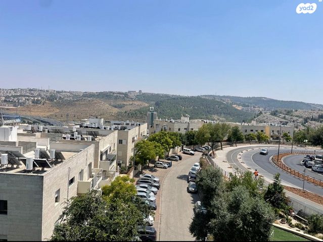 פנחס רוזן 2