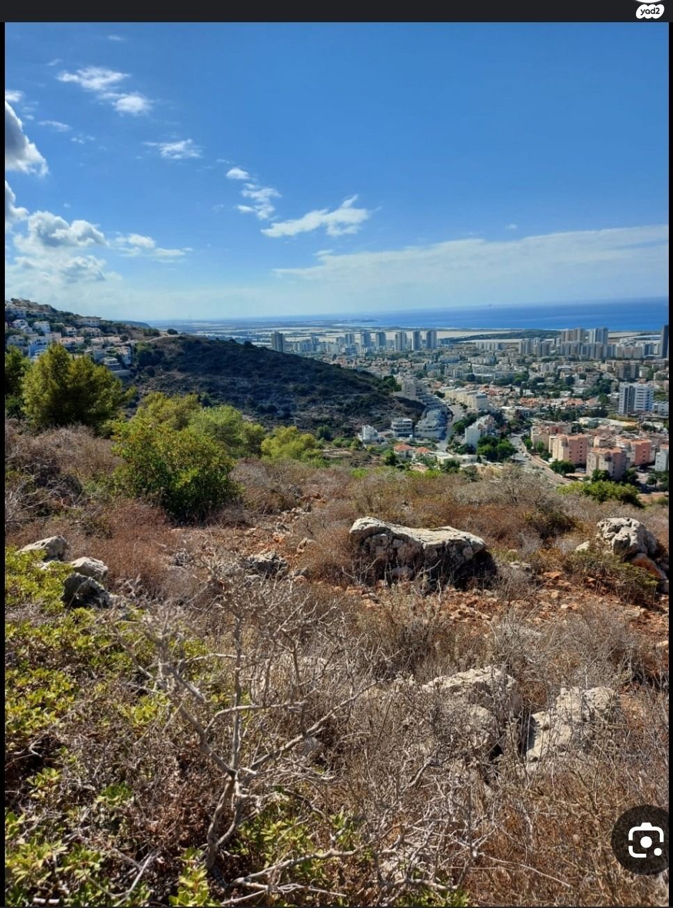 בני ברית 10