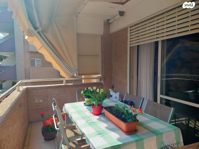 אריה בן אליעזר 