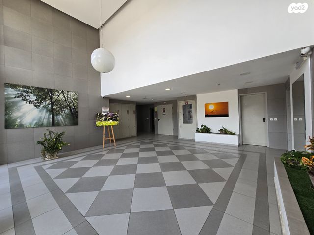 דירה, הנבל, שמשון, חדרה הצעירה, חדרה