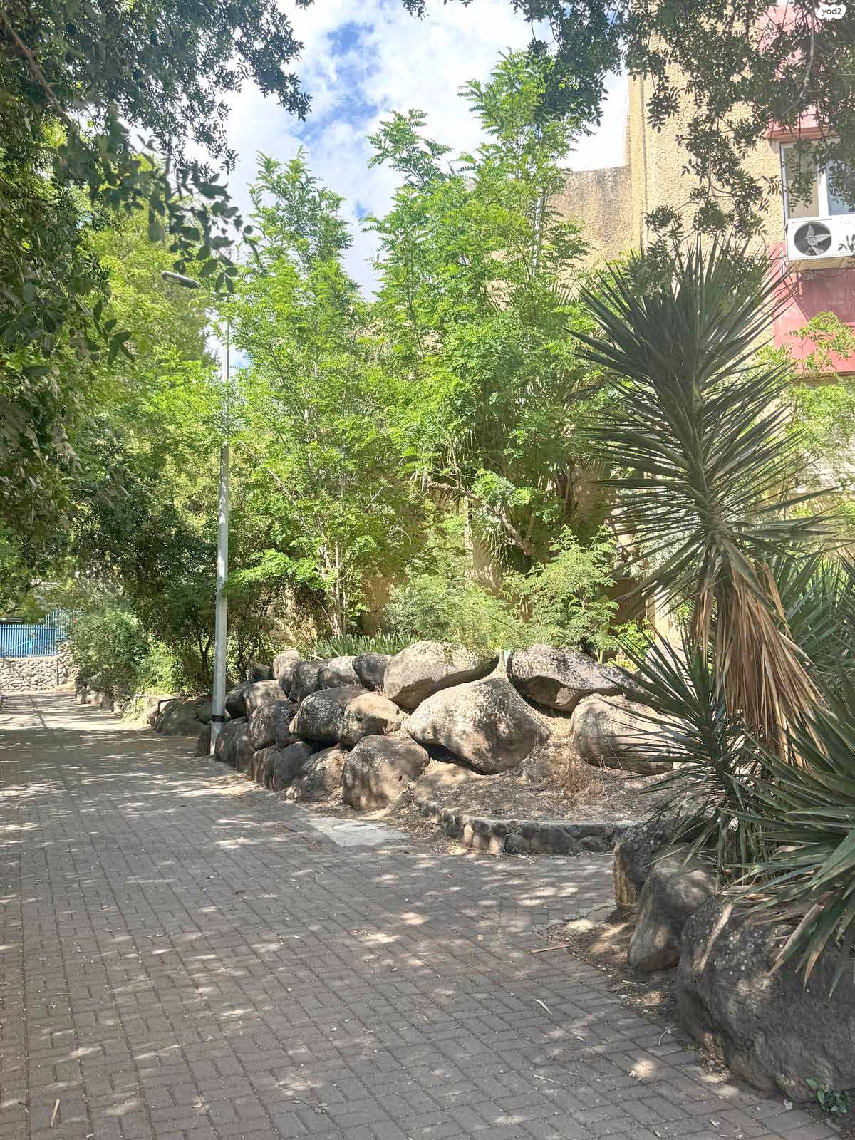 טיילת גמלא 