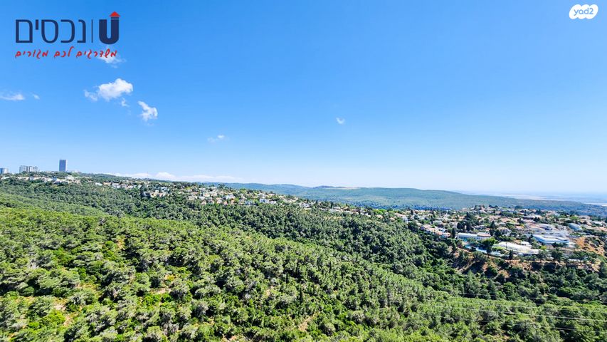 הרב אסף דוד 