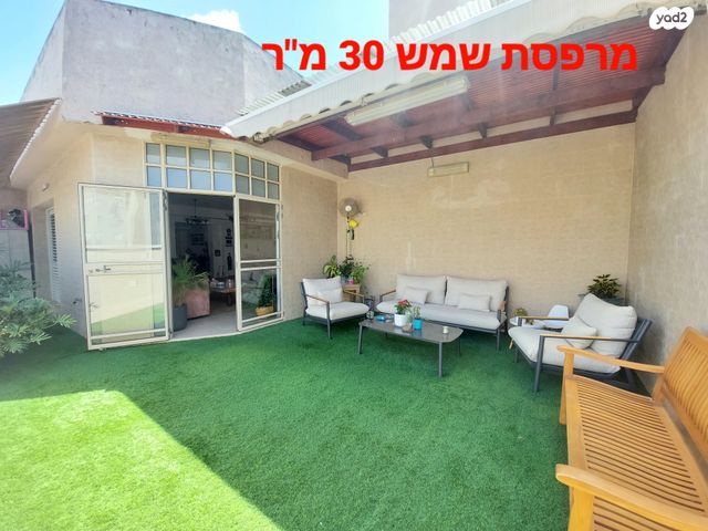 דוד צדוק 