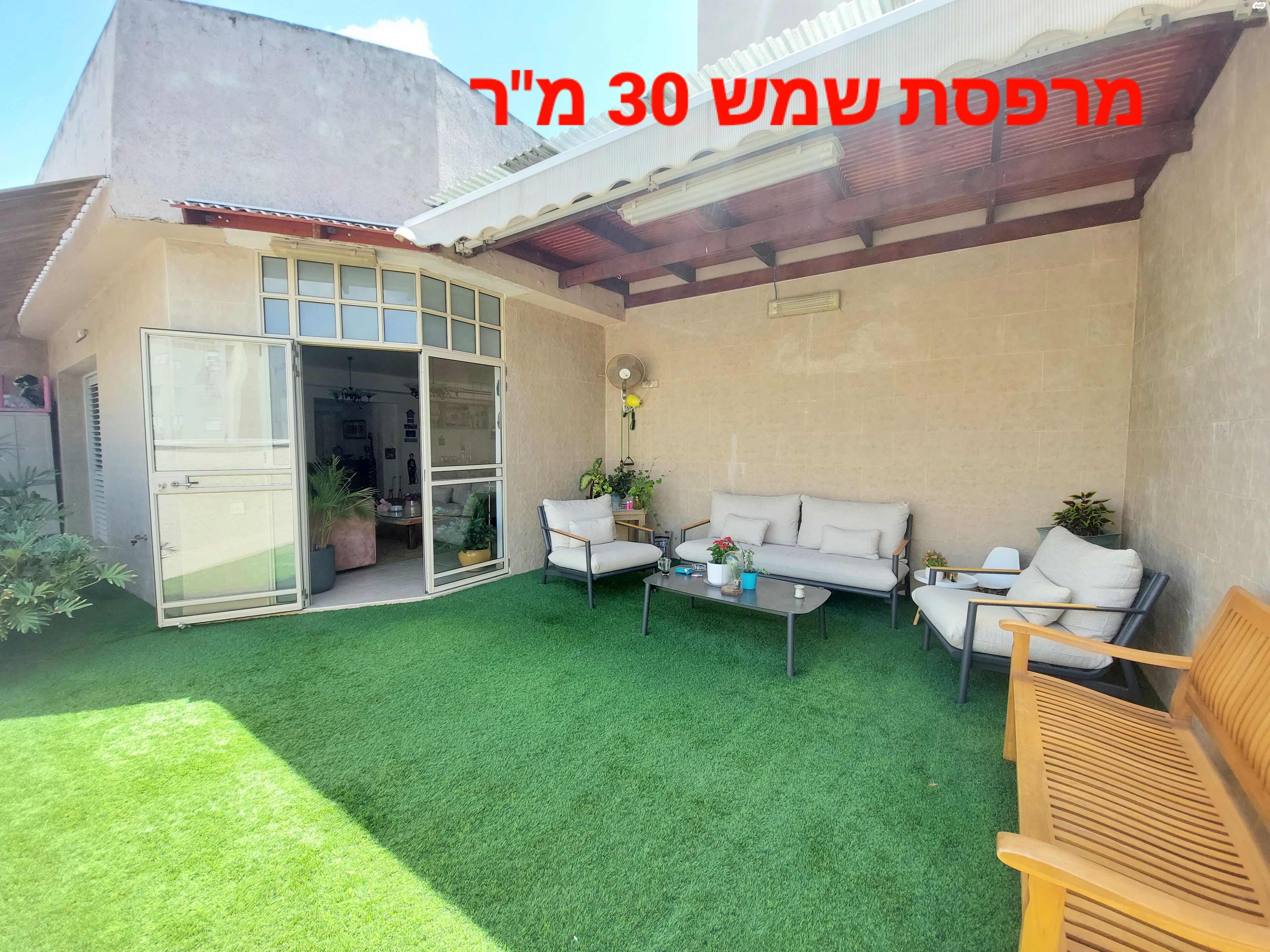דוד צדוק 