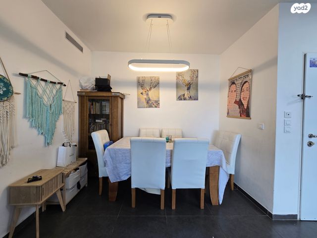 דירה, הנבל, שמשון, חדרה הצעירה, חדרה