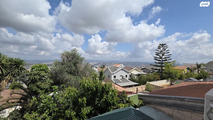 ניצן 43