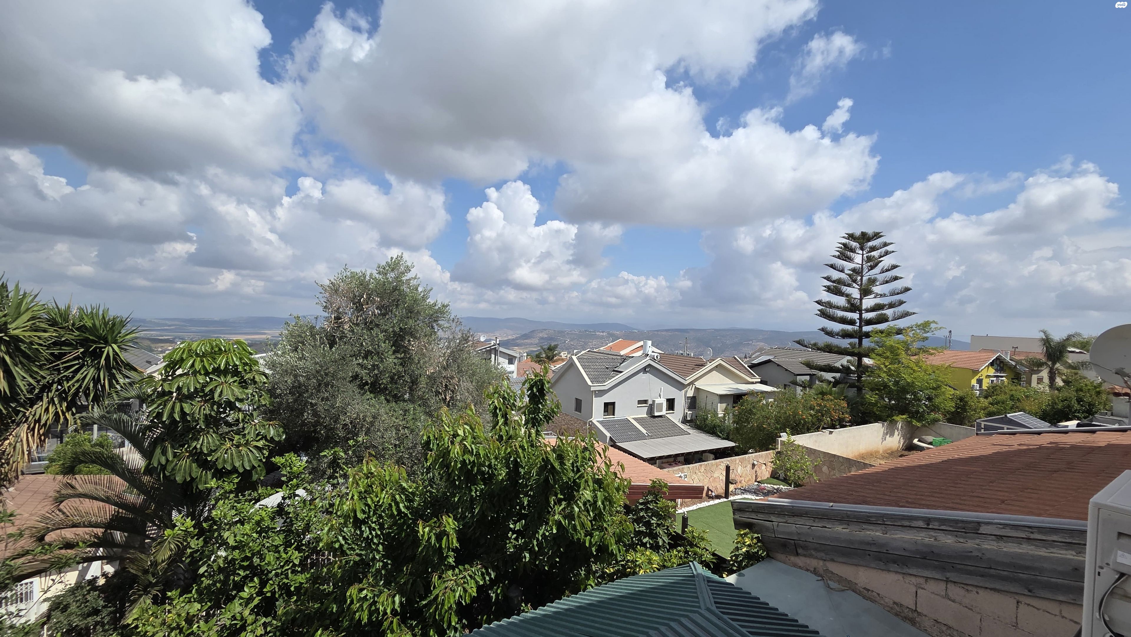 ניצן 43