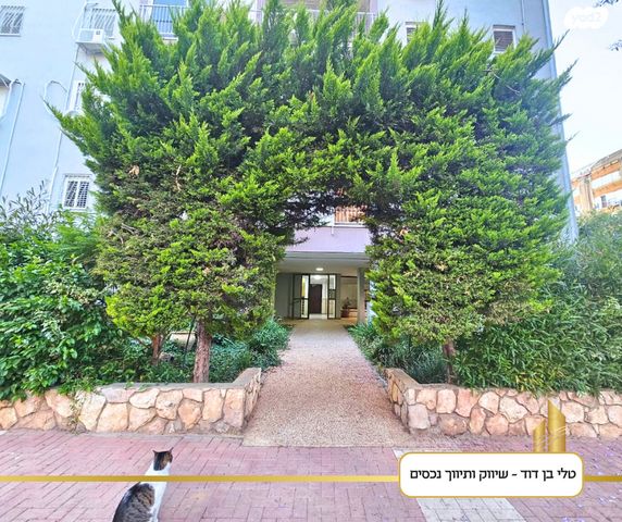 דירה, חבצלת השרון, כפר סבא