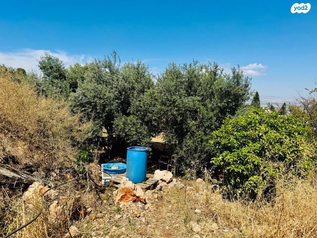 משק חקלאי/ נחלה, התורמוס, ראש פינה