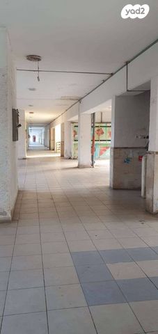 דירה, המיסדים, כרמיאל