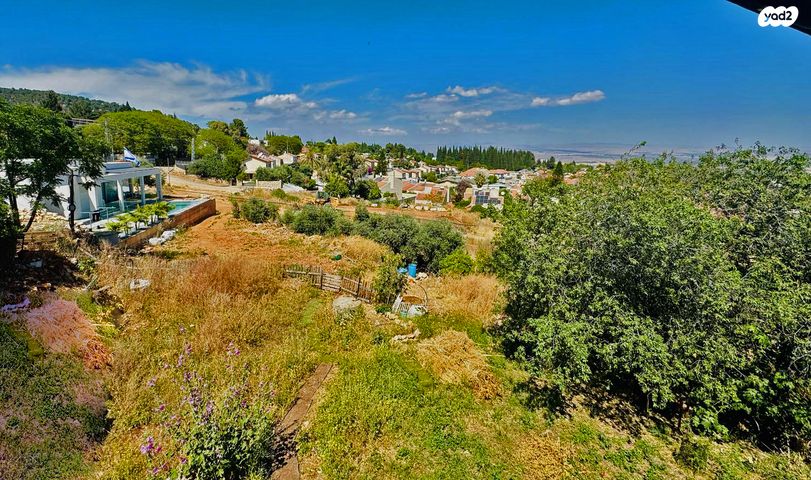 משק חקלאי/ נחלה, התורמוס, ראש פינה