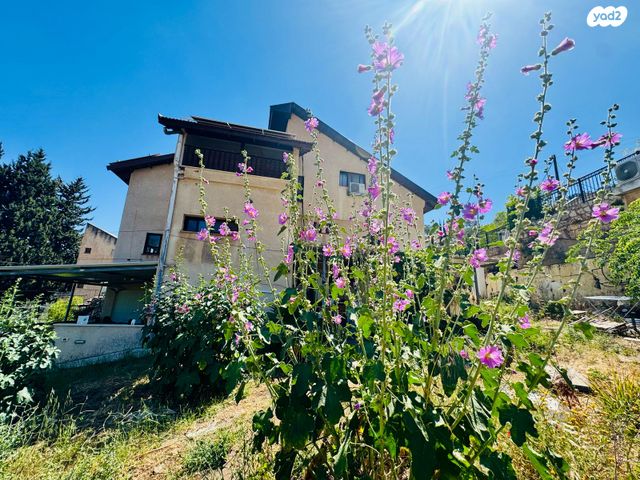 משק חקלאי/ נחלה, התורמוס, ראש פינה