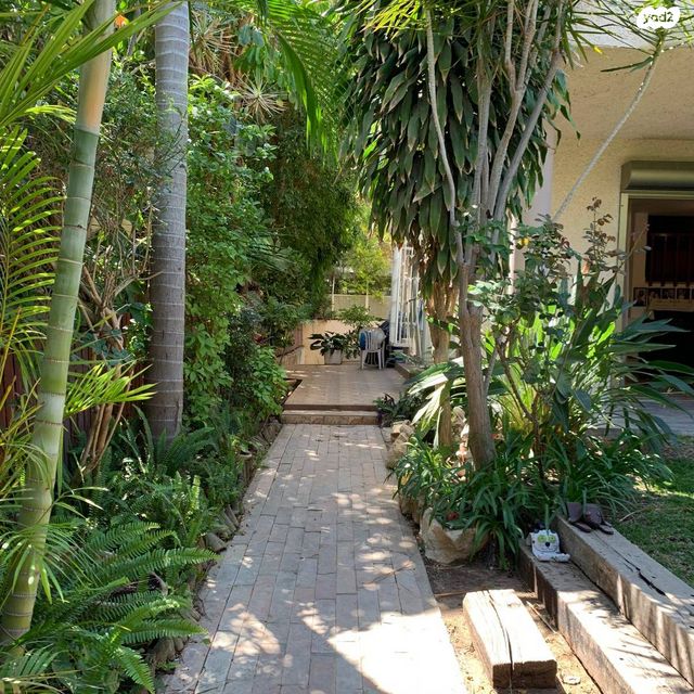 דו משפחתי, מנדלי מוכר ספרים, כצנלסון, ראשון לציון