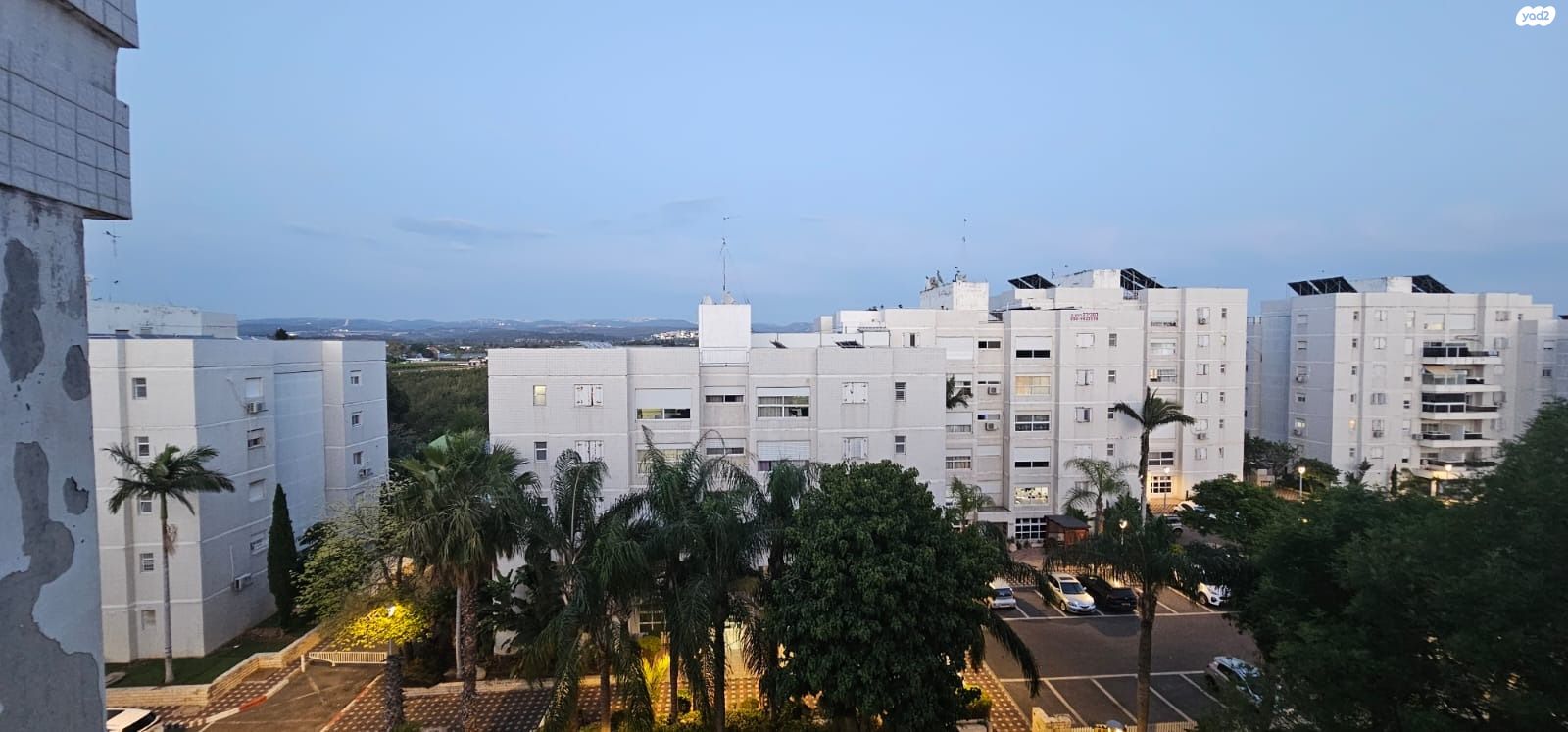 הזמיר 