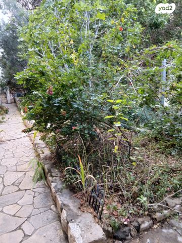 דירת גן, איריס, רמת התשבי, חיפה