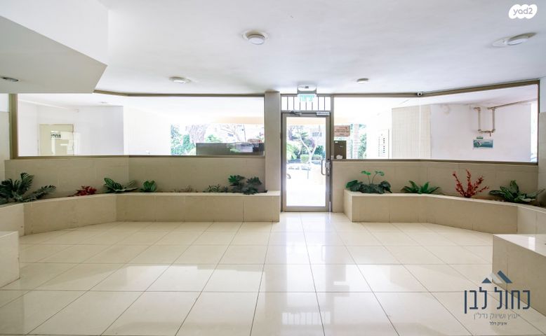 דירה, בעל שם טוב, מחנה יהודה, פתח תקווה