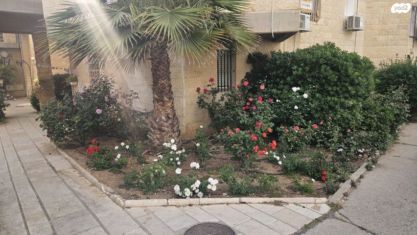 דירה, יקינטון, גילה, ירושלים