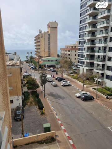 דוד המלך 