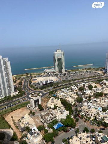 אמנון ליפקין שחק 