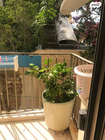 דירת גן, הצדף, תל אביב יפו