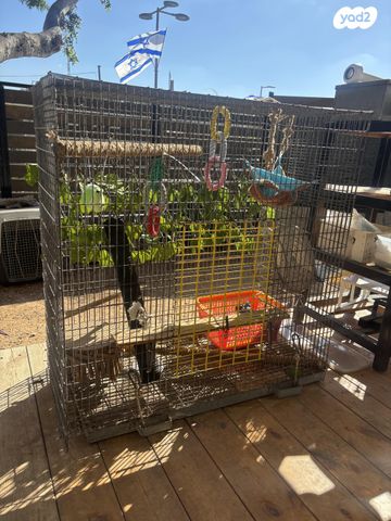 אביזרים | תאים למכרסמים