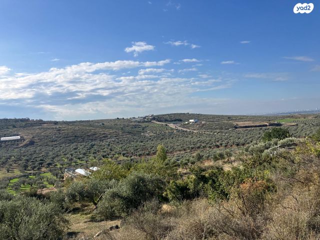 כליל 