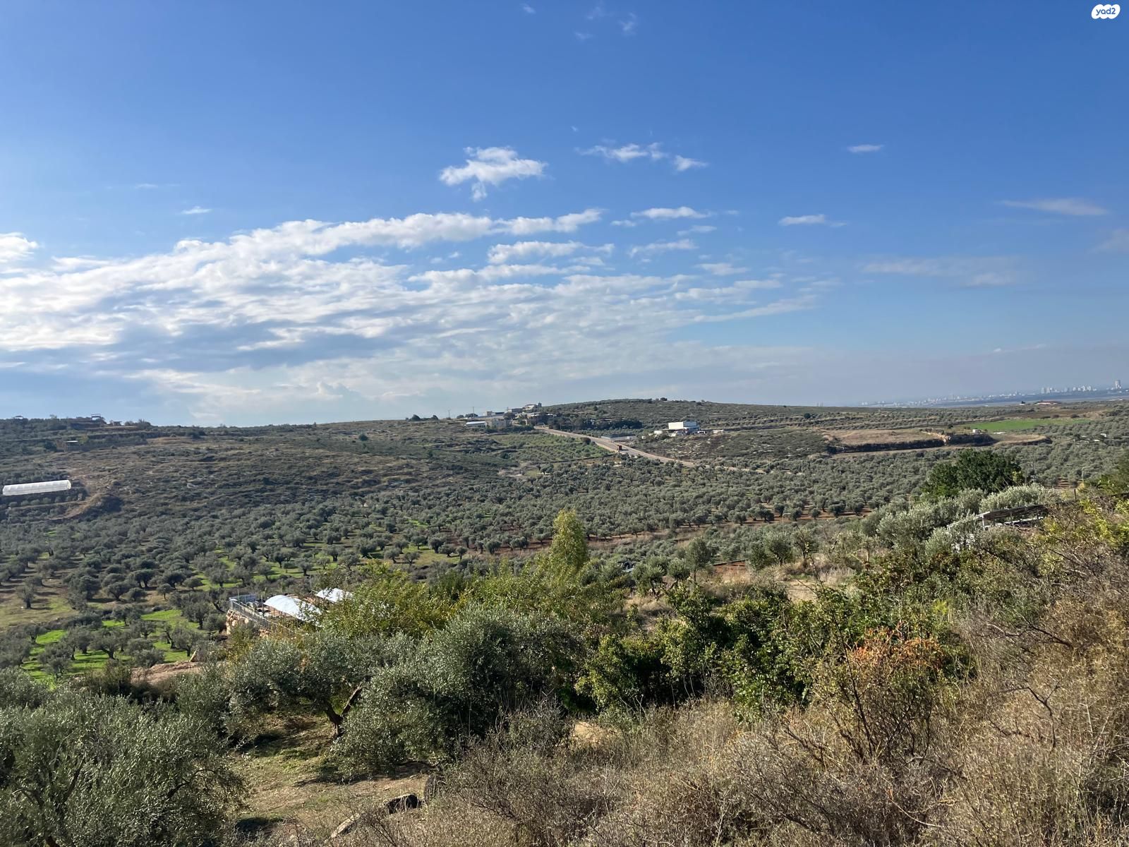 כליל 