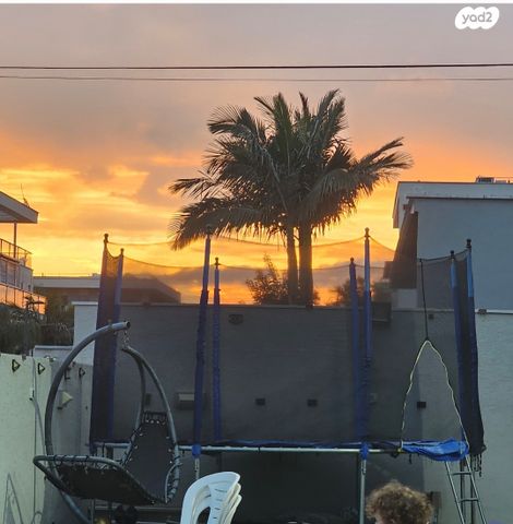 לילינבלום 71