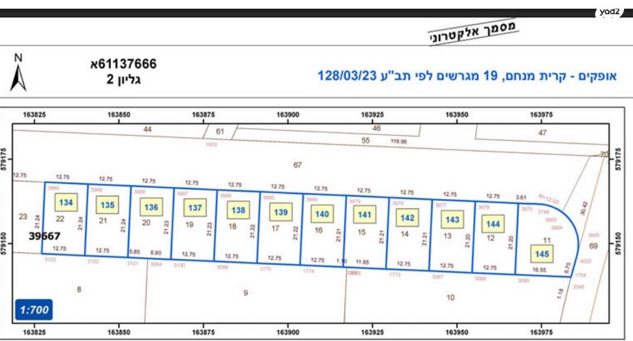 מורן 34