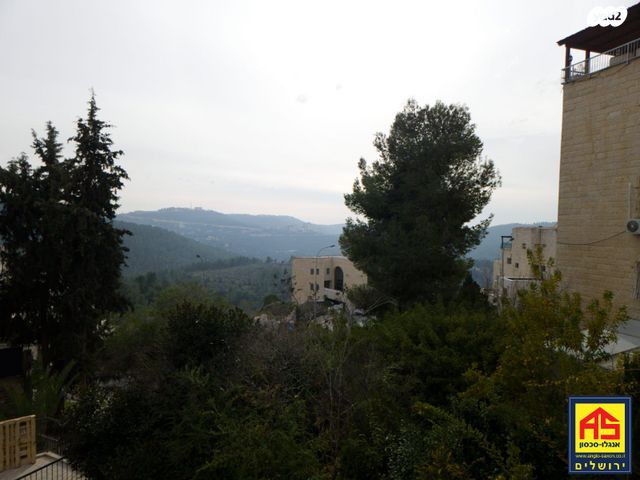 האדמו"ר מרוז'ין 