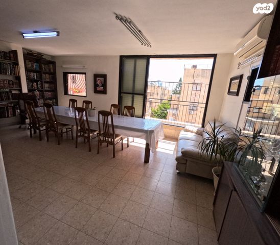 נועם אלימלך 