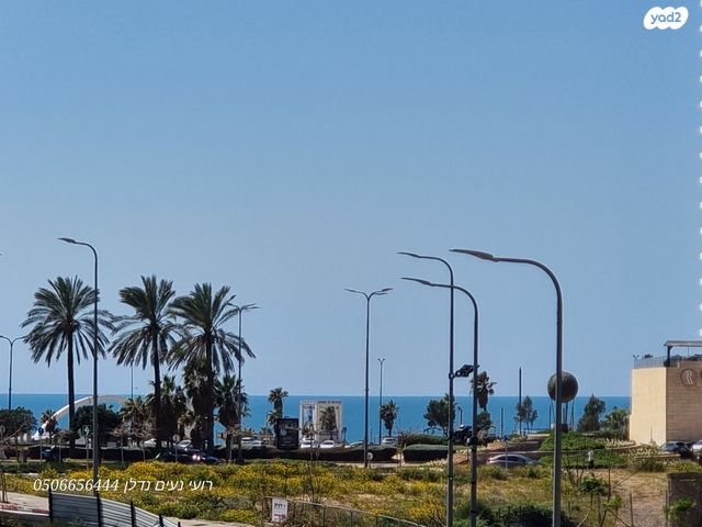 אמנון ליפקין שחק 1
