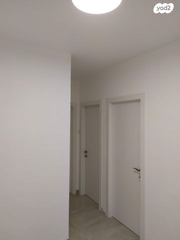 דירה, לוי אשכול, ברנדייס, חדרה