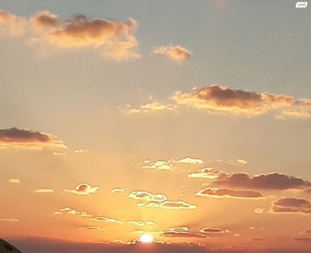 הרצל 