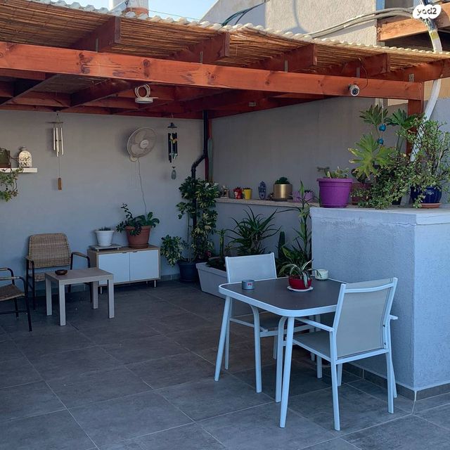 השר שפירא 14