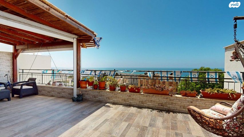 הרופא זלוצ'יסטי 