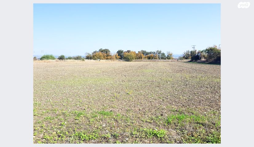 משק חקלאי/ נחלה, יקנעם