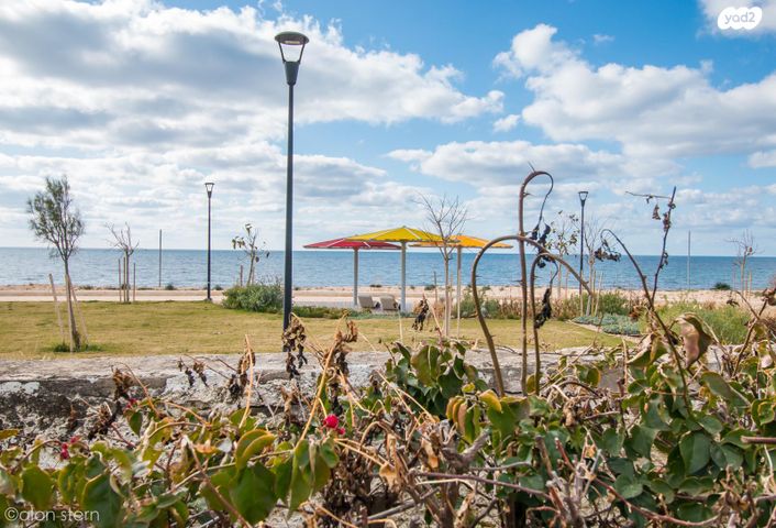 דירת גן, העלייה, עמידר, נהריה